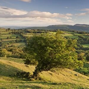 Rolling countryside of the Brecon Beacons near Crickhowell, South Wales