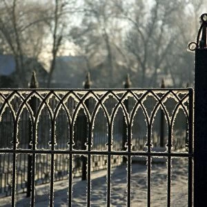 Russia; Siberia; Irkutsk; Frost on an iron gate early morning