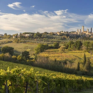 San Gimignano surrounded by vines in the autumn, Tuscany, Italy