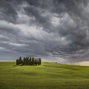San Quirico d Orcia, Tuscany, Italy. Cypresses and stormy sky