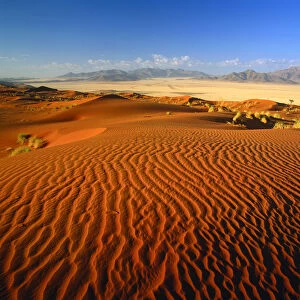 Sand Dune, Namib Rand, Namibia, Africa