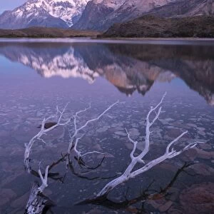 South America, Andes, Patagonia, Torres del Paine National Park, first light and Cuernos