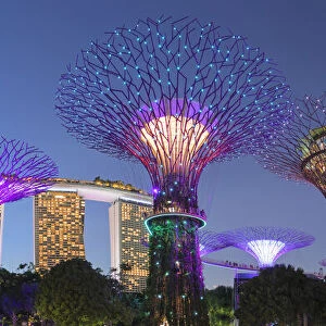 Supertrees and Marina Bay Sands, Gardens by the Bay, Singapore City, Singapore