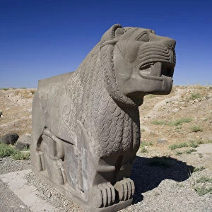 Syria, Aleppo, The 8th BC Century Hittite temple of Ain Dara, Lion Carving