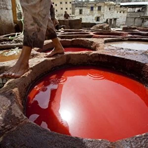 The tanneries in Fes, Morocco