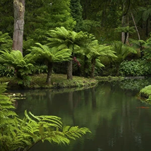 Terra Nostra Botanical Park. Furnas, Sao Miguel Island. Azores
