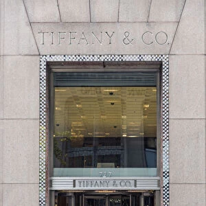 Tiffany and Co, jewelry store, Fifth Avenue, Manhattan, New York, USA