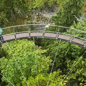Tourists in Capilano Suspension Bridge and Park, Vancouver, British Columbia, Canada