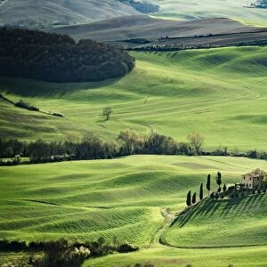 Tuscany, spring landscape, rolling hills at sunset, Val d Orcia, Italy