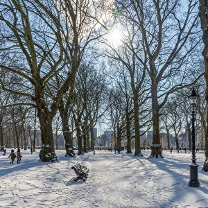 UK, England, London, Green Park in the snow
