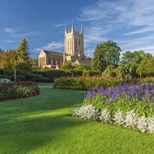UK, England, Suffolk, Bury Saint Edmunds, St Edmundsbury Cathedral from the Abbey Gardens