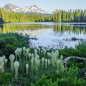 USA, Cascades, Oregon, mountains and Scott Lake with Bear Grass