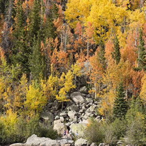 USA, Colorado, Grand County, Rocky Mountain National Park, Bear Lake in autumn