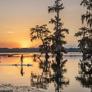 USA, Louisiana, Jefferson Parish, Lafayette, Lake Martin, woman on paddle board at sunset