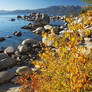 USA, Nevada, Lake Tahoe, Nevada State Park, Shoreline with boulders near the village