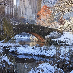 Usa, New York City, Manhattan, Central Park, Gapstow Bridge