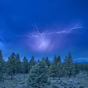 USA, Oregon, Deschutes National Forest, Bend, lightning