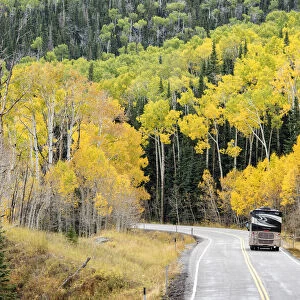 USA, Southwest, Colorado Plateau, Utah, Boulder, Dixie National forest along Highway 12