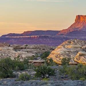 USA, Utah, Canyonlands National Park, The Needles District, Junction Butte