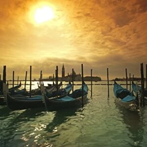 Venice, Veneto, Italy; Gondolas tied at the Bacino di San Marco