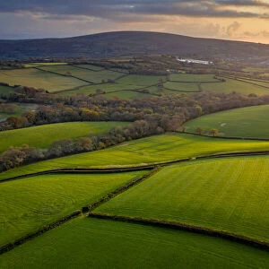 Verdant rolling countryside in Dartmoor National Park, Devon, England