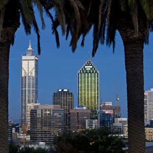 View of the Perth Central Business District skyline from Kings Park, Western Australia, Australia