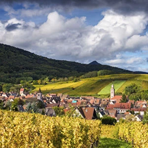 View over Riquewihr, Alsace, France