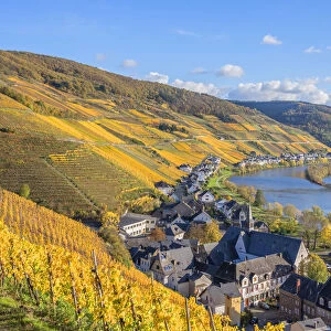 View at Zell, Mosel valley, Rhineland-Palatinate, Germany