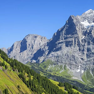 Wetterhorn, Grindelwald, Berner Oberland, Canton Berne, Switzerland