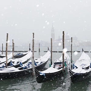 Winter snowfall in the city of Venice, gondolas covered by snow