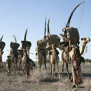 Women of the nomadic Gabbra tribe prepare to move their