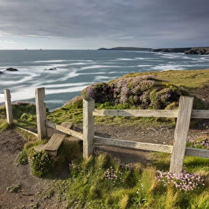 Wooden stile on the South West Coast Path long distance footpath near Porthcothan Bay