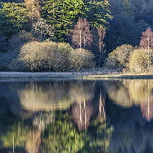 Yew Tree Tarn Reflections, Lake District National Park, Cumbria, England
