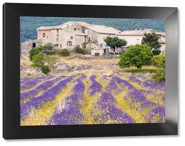 A farmhouse near Banon, Provence, France