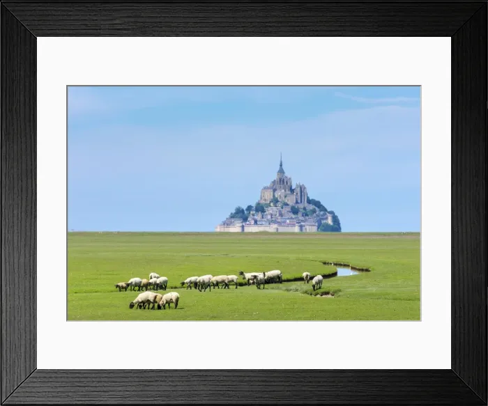 Framed Print : France, Normandy (Normandie), Manche department, sheep grazing in front of Le Framed Print : France, Normandy (Normandie), Manche department, sheep grazing in front of Le