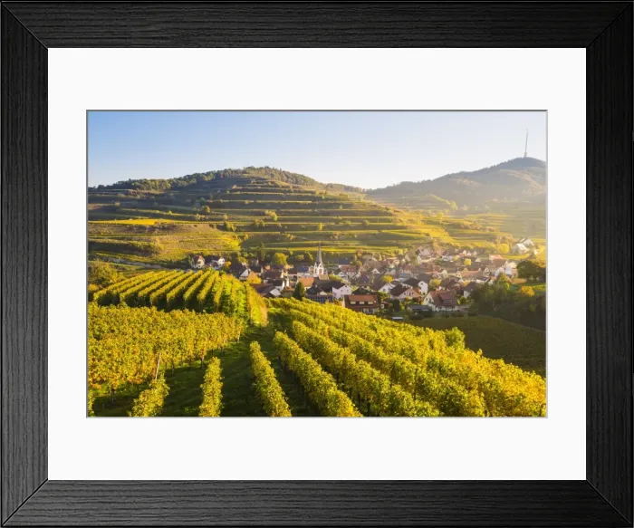 Framed Print : Bickensohl, Vogtsburg im Kaiserstuhl, Kaiserstuhl region, Black Forest (Schwarzwald) Framed Print : Bickensohl, Vogtsburg im Kaiserstuhl, Kaiserstuhl region, Black Forest (Schwarzwald)
