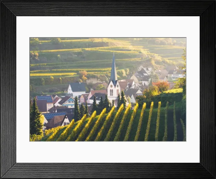 Framed Print : Bickensohl, Vogtsburg im Kaiserstuhl, Kaiserstuhl region, Black Forest (Schwarzwald) Framed Print : Bickensohl, Vogtsburg im Kaiserstuhl, Kaiserstuhl region, Black Forest (Schwarzwald)