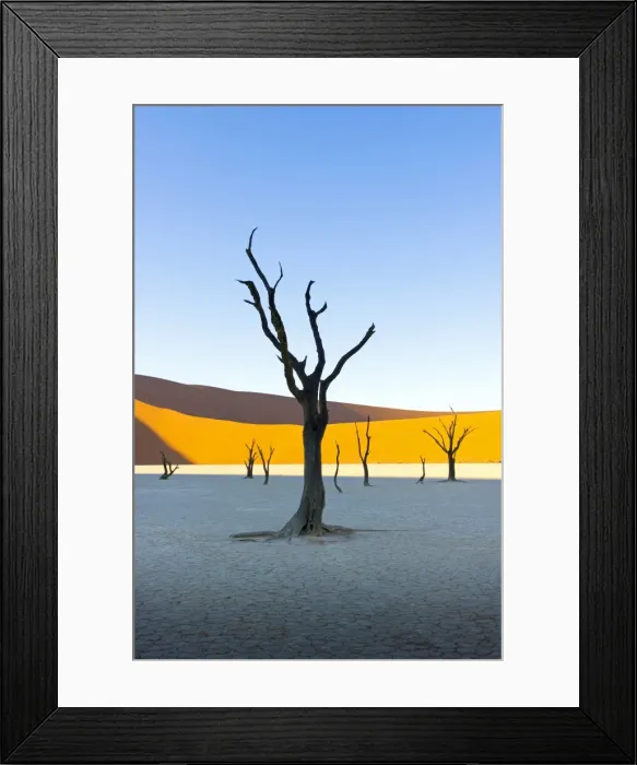 Framed Print : Dead Vlei, Sossusvlei, Namib desert at sunrise, Namibia, Africa Framed Print : Dead Vlei, Sossusvlei, Namib desert at sunrise, Namibia, Africa