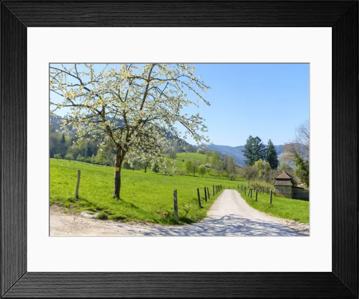 Framed Print : Munstertal valley in early spring, Breisgau-Hochschwarzwald, Baden-Wurttemberg, Germany Framed Print : Munstertal valley in early spring, Breisgau-Hochschwarzwald, Baden-Wurttemberg, Germany
