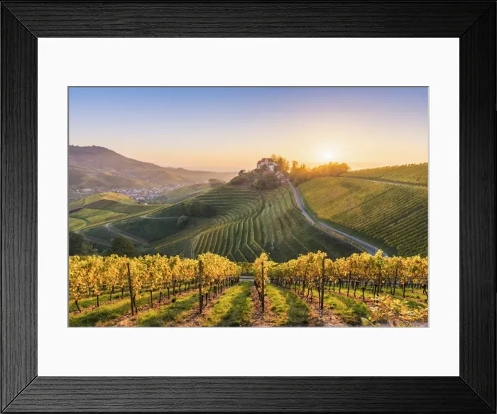 Framed Print : Durbach, Freiburg region, Black Forest (Schwarzwald), Baden-Wurttemberg, Germany Framed Print : Durbach, Freiburg region, Black Forest (Schwarzwald), Baden-Wurttemberg, Germany