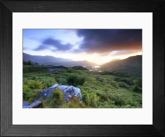 Framed Print : Europe, Ireland, Wild Atlantic Way, Ring of Kerry, sunrise at Ladys view viewpoint Framed Print : Europe, Ireland, Wild Atlantic Way, Ring of Kerry, sunrise at Ladys view viewpoint