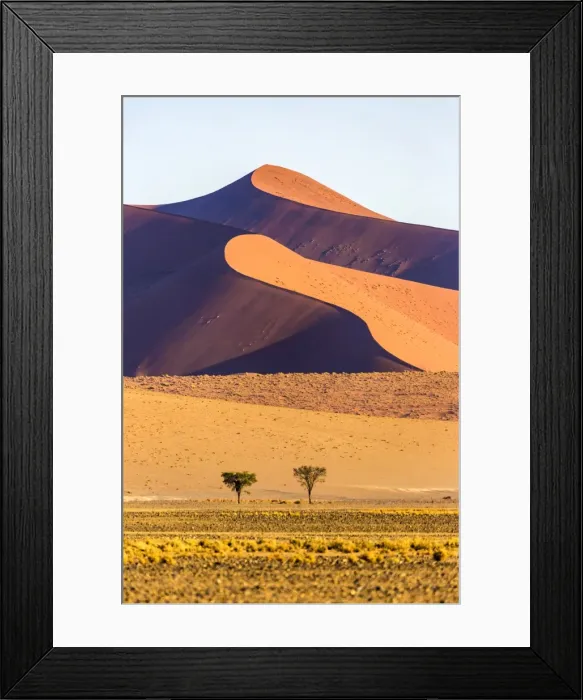 Framed Print : Africa, Namibia, Namib Desert, Sossusvlei, dunes at sunrise Framed Print : Africa, Namibia, Namib Desert, Sossusvlei, dunes at sunrise