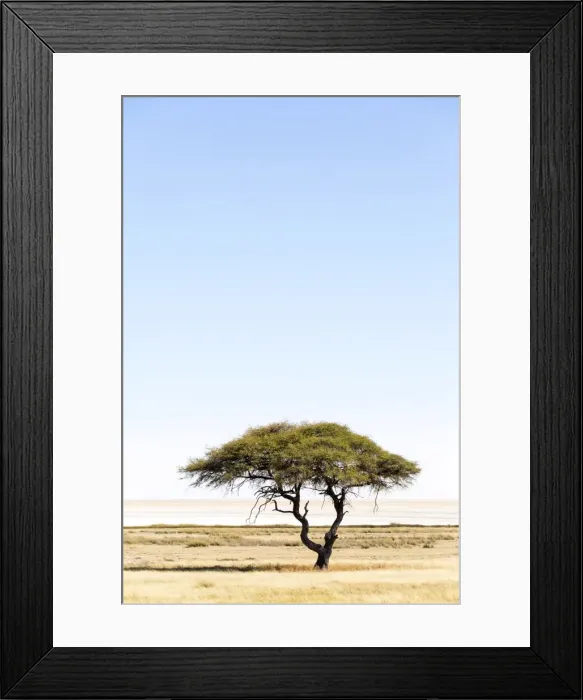 Framed Print : Etosha Pan, Namibia, Africa. Lonely tree Framed Print : Etosha Pan, Namibia, Africa. Lonely tree