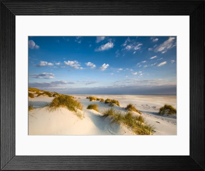 Framed Print : Dunes, Amrum Island, Northern Frisia, Schleswig-Holstein, Germany Framed Print : Dunes, Amrum Island, Northern Frisia, Schleswig-Holstein, Germany