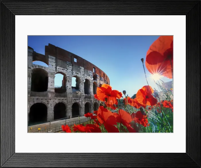 Framed Print : Italy, Rome, Colosseum and Roman Forum at sunrise with red poppies in the foreground Framed Print : Italy, Rome, Colosseum and Roman Forum at sunrise with red poppies in the foreground