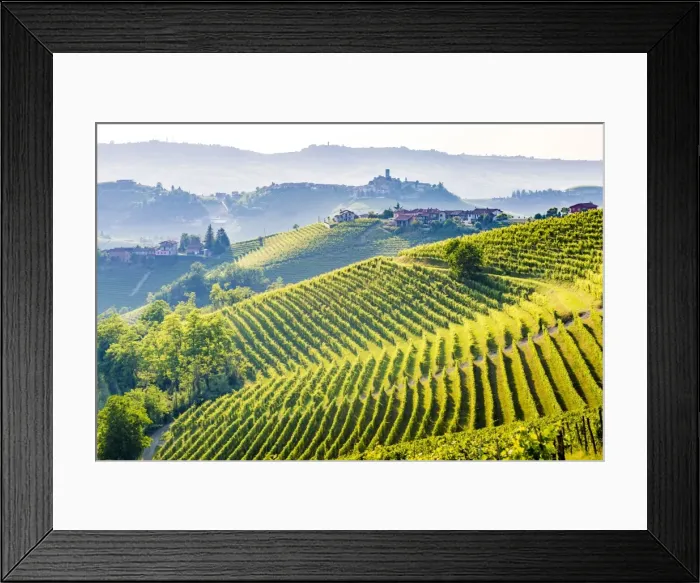 Framed Print : Serralunga d Alba, Barolo wine region, Langhe, Piedemont, Italy Framed Print : Serralunga d Alba, Barolo wine region, Langhe, Piedemont, Italy