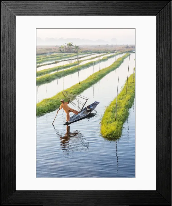 Framed Print : Leg-rowing fisherman of Inle Lake, Shan State, Myanmar Framed Print : Leg-rowing fisherman of Inle Lake, Shan State, Myanmar