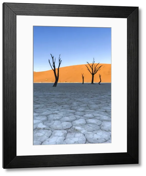 Framed Print : Africa, Namibia, Deadvlei, Namib desert, dead acacia trees Framed Print : Africa, Namibia, Deadvlei, Namib desert, dead acacia trees