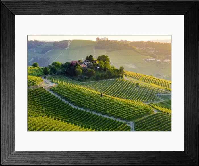 Framed Print : Serralunga d Alba, Barolo wine region, Langhe, Piedemont, Italy