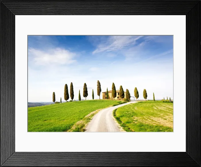 Framed Print : Tuscany, spring landscape, rolling hills, cypress trees. Pienza, Italy Framed Print : Tuscany, spring landscape, rolling hills, cypress trees. Pienza, Italy